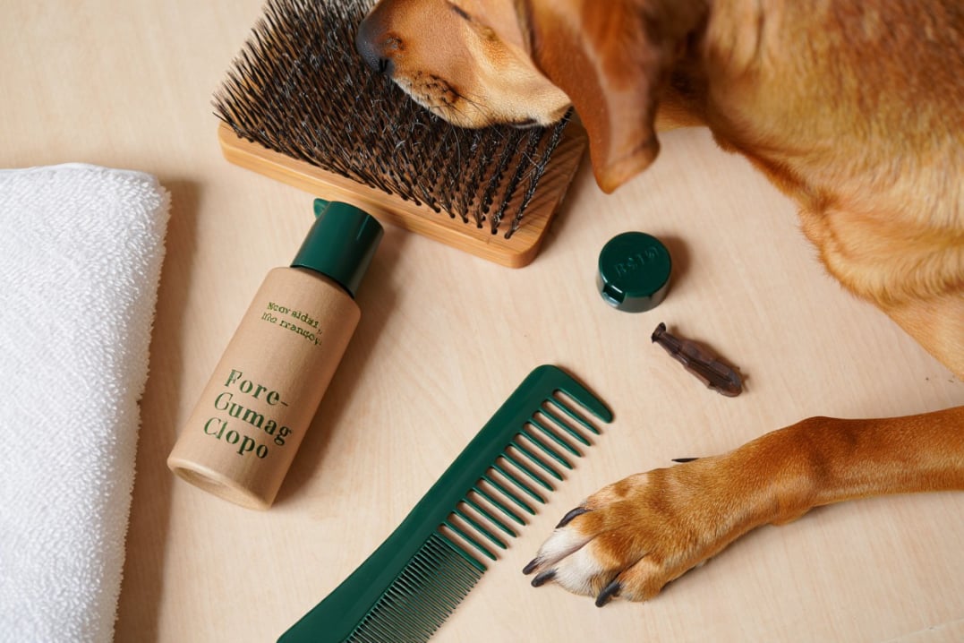 Vetcall24