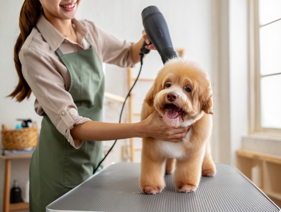 Vetcall24